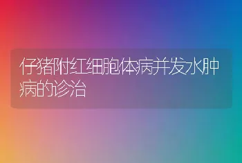 仔猪附红细胞体病并发水肿病的诊治