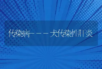 传染病---犬传染性肝炎