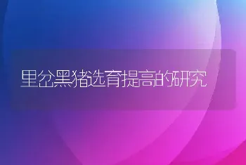 里岔黑猪选育提高的研究