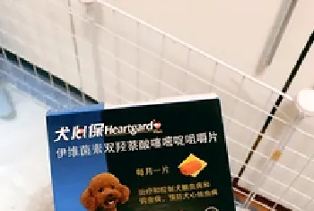 幼犬体内驱虫用哪种驱虫药好？