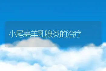 野香猪高效养殖技术