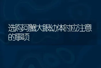 选购河蟹大眼幼体时应注意的事项