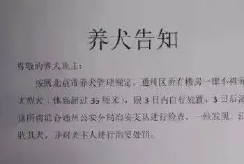 北京通州禁养条例出台，宠物医院安乐死排起了长队