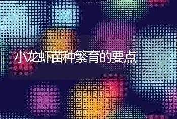 小龙虾苗种繁育的要点