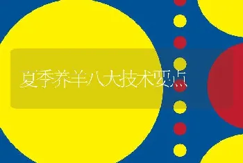 夏季养羊八大技术要点