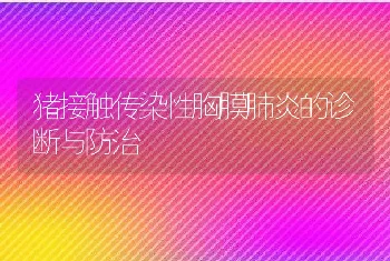 猪接触传染性胸膜肺炎的诊断与防治