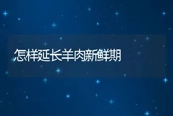 怎样延长羊肉新鲜期