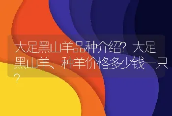 大足黑山羊品种介绍？大足黑山羊、种羊价格多少钱一只？