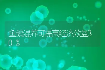 鱼鹅混养可提高经济效益30%