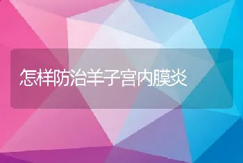 怎样防治羊子宫内膜炎