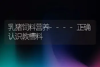 乳猪饲料营养----正确认识教槽料