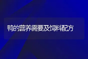 鸭的营养需要及饲料配方