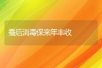 蚕后消毒保来年丰收