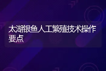 太湖银鱼人工繁殖技术操作要点