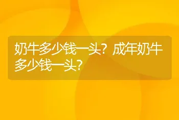 奶牛多少钱一头？成年奶牛多少钱一头？