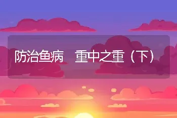 防治鱼病 重中之重（下）