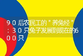 90后农民工的＂养兔经＂：30只兔子发展到现在的600只