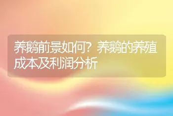 养鹅前景如何？养鹅的养殖成本及利润分析