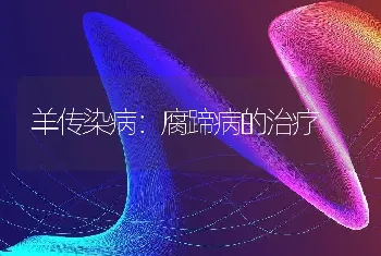 羊传染病：腐蹄病的治疗