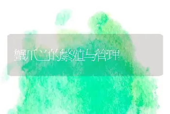 蟹爪兰的繁殖与管理