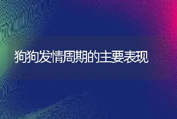 狗狗发情周期的主要表现