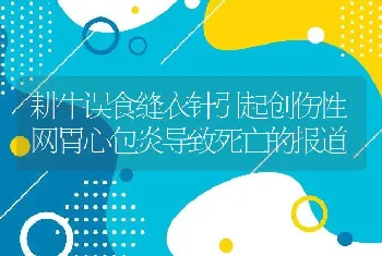 耕牛误食缝衣针引起创伤性网胃心包炎导致死亡的报道