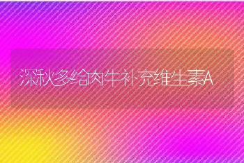 深秋多给肉牛补充维生素A