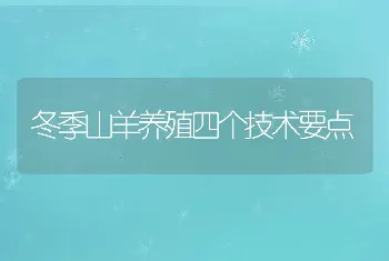 冬季山羊养殖四个技术要点