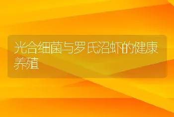 光合细菌与罗氏沼虾的健康养殖