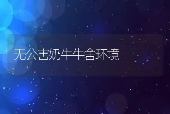 无公害奶牛牛舍环境