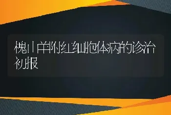 槐山羊附红细胞体病的诊治初报