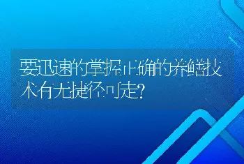 要迅速的掌握正确的养鳝技术有无捷径可走？