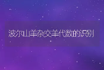 波尔山羊杂交羊代数的识别