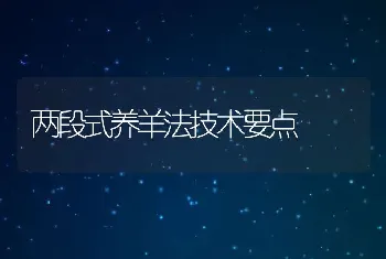 两段式养羊法技术要点