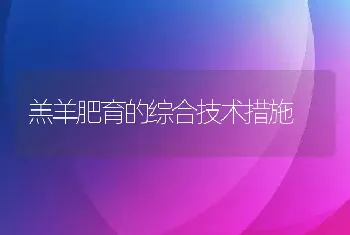 羔羊肥育的综合技术措施