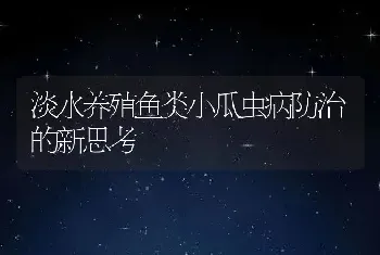 淡水养殖鱼类小瓜虫病防治的新思考