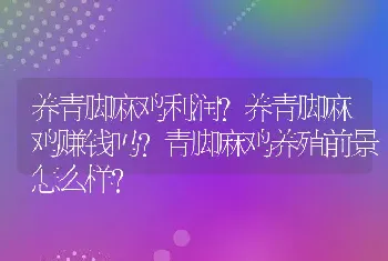 养青脚麻鸡利润？养青脚麻鸡赚钱吗？青脚麻鸡养殖前景怎么样？