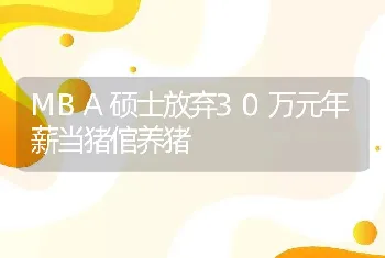 MBA硕士放弃30万元年薪当猪倌养猪