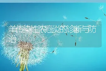 鸭霍乱的病原与流行特点