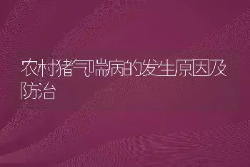 农村猪气喘病的发生原因及防治