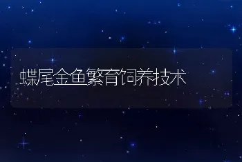 种公羊的饲养管理要点