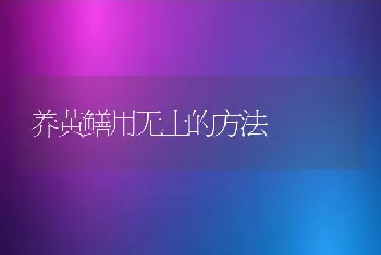 养黄鳝用无土的方法