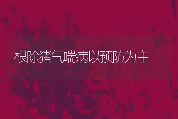 根除猪气喘病以预防为主