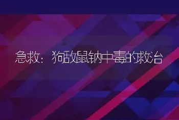 急救：狗敌鼠钠中毒的救治