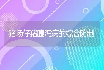 孔雀的饲养方法