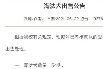 沈阳中国刑警学院拍卖淘汰警犬，最高拍卖喊价33万！