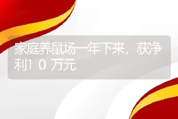 家庭养鼠场一年下来，获净利10万元