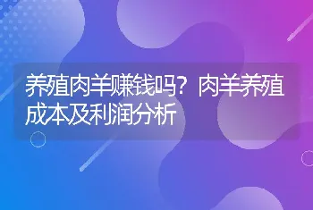 养殖肉羊赚钱吗？肉羊养殖成本及利润分析