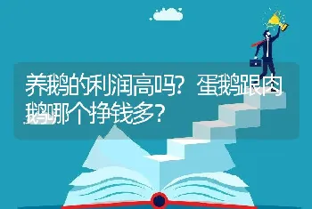 养鹅的利润高吗?蛋鹅跟肉鹅哪个挣钱多？