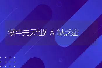 犊牛先天性VA缺乏症